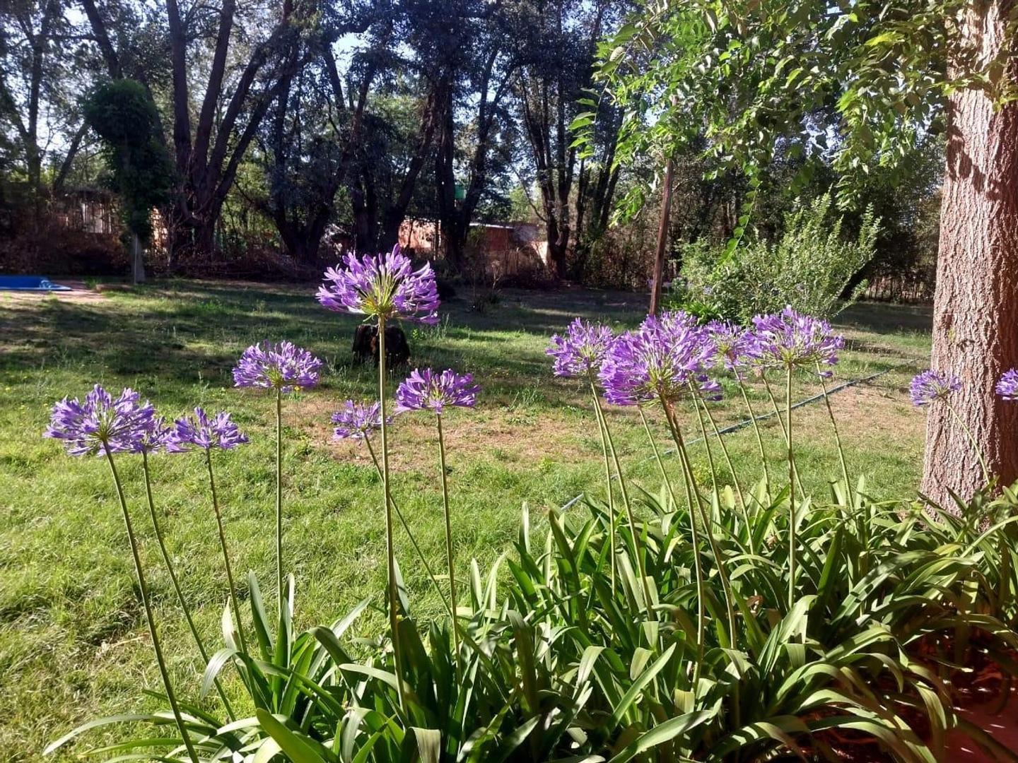 Alquiler casa/pileta/ 1/2 hect.  La Reja