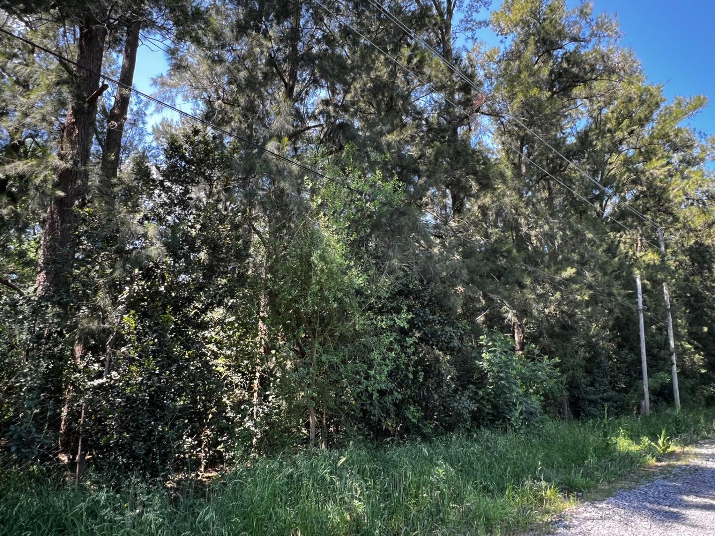 Terreno en Venta de 3985,0 m2