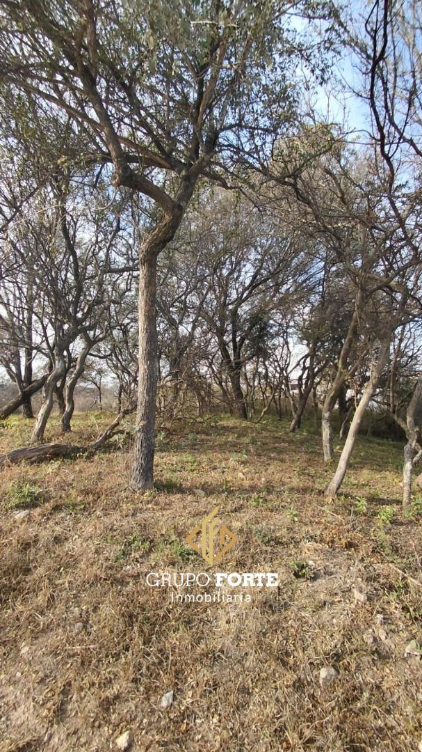 Lote venta Tierralta