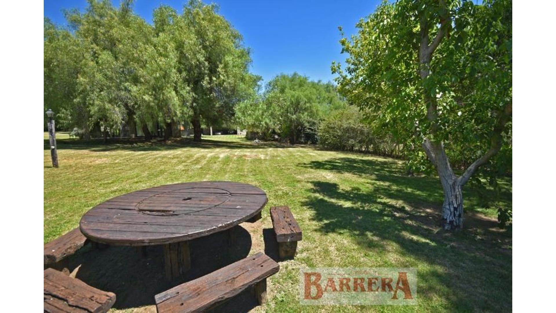 Calle De Los Talas 1