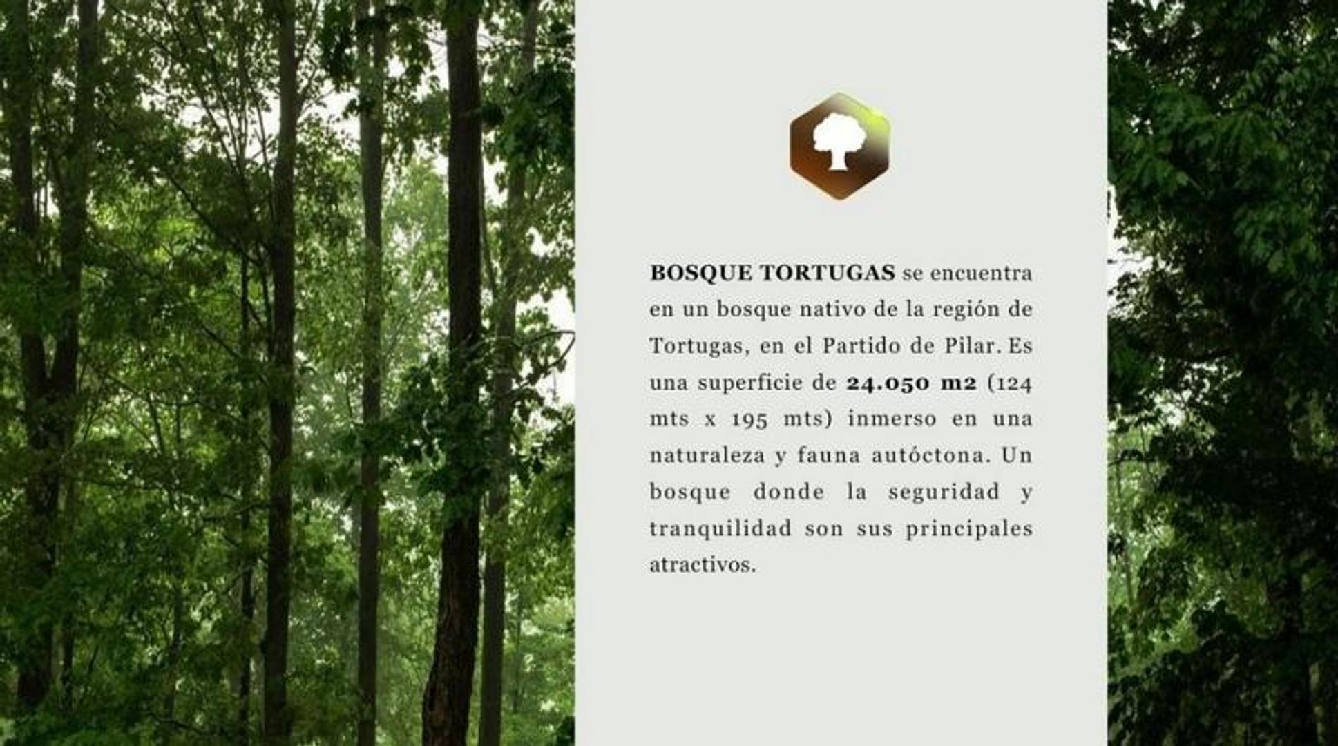 Departamento en Venta en Manuel Alberti, USD 384.844