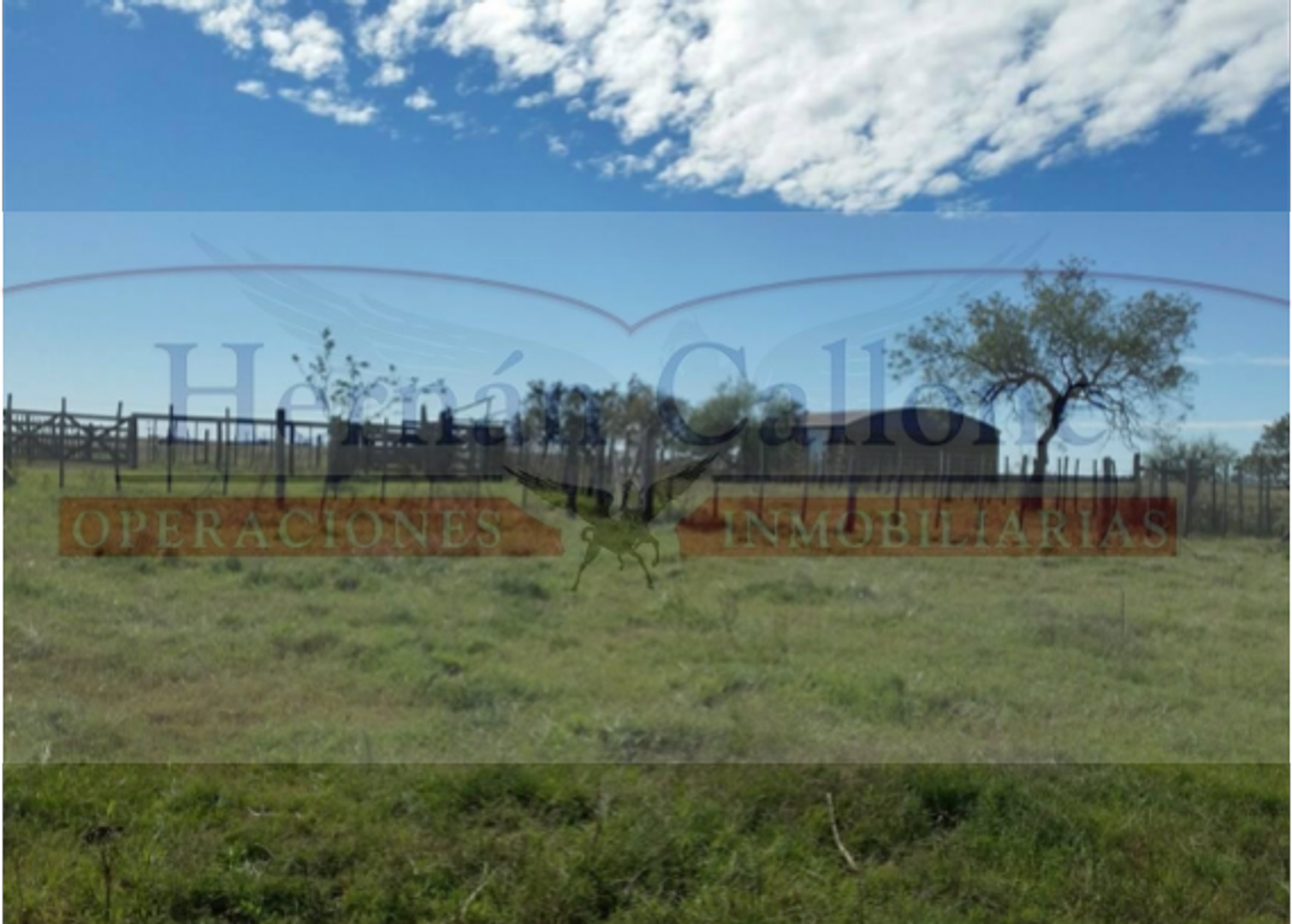 CAMPO DE 255 HAS. EN VENTA EN PEHUAJÓ