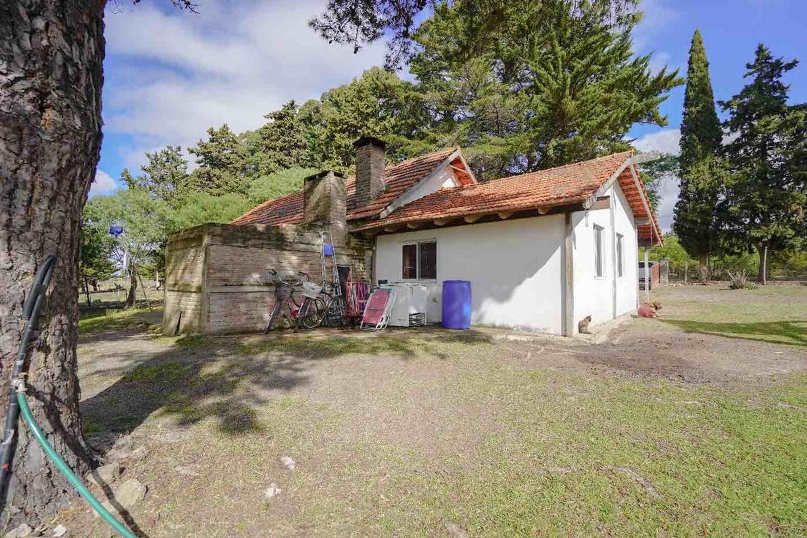 Ruta 8 LA PALMITA 100