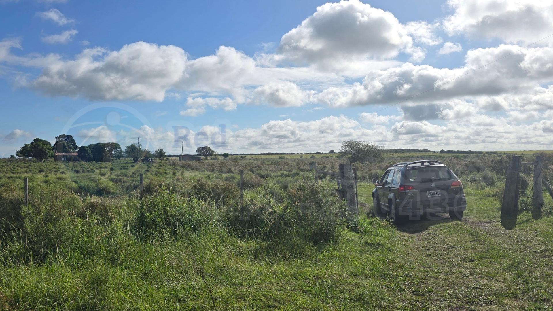 CAMPO EN VENTA EN COLONIA EL POTRERO