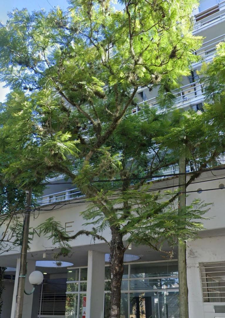 19 De Marzo 877 , Piso 6