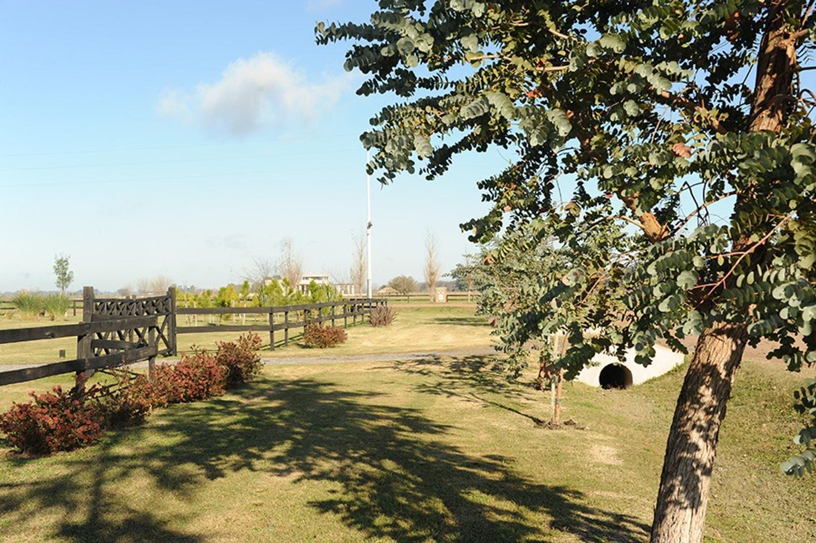 Terreno en Venta de 20000,0 m2