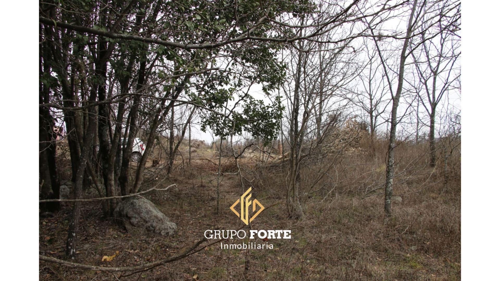 Terreno en Venta en Barrio De Campo El Sereno, USD 12.500