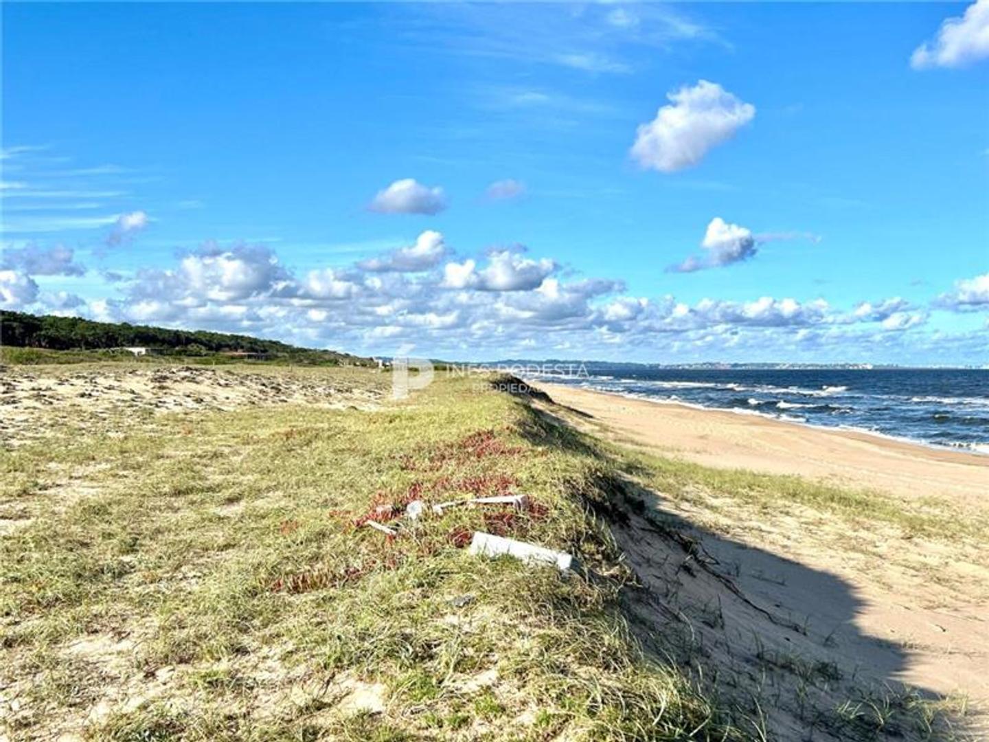 PROPIEDADES RURALES - CHACRA - PUNTA BALLENA