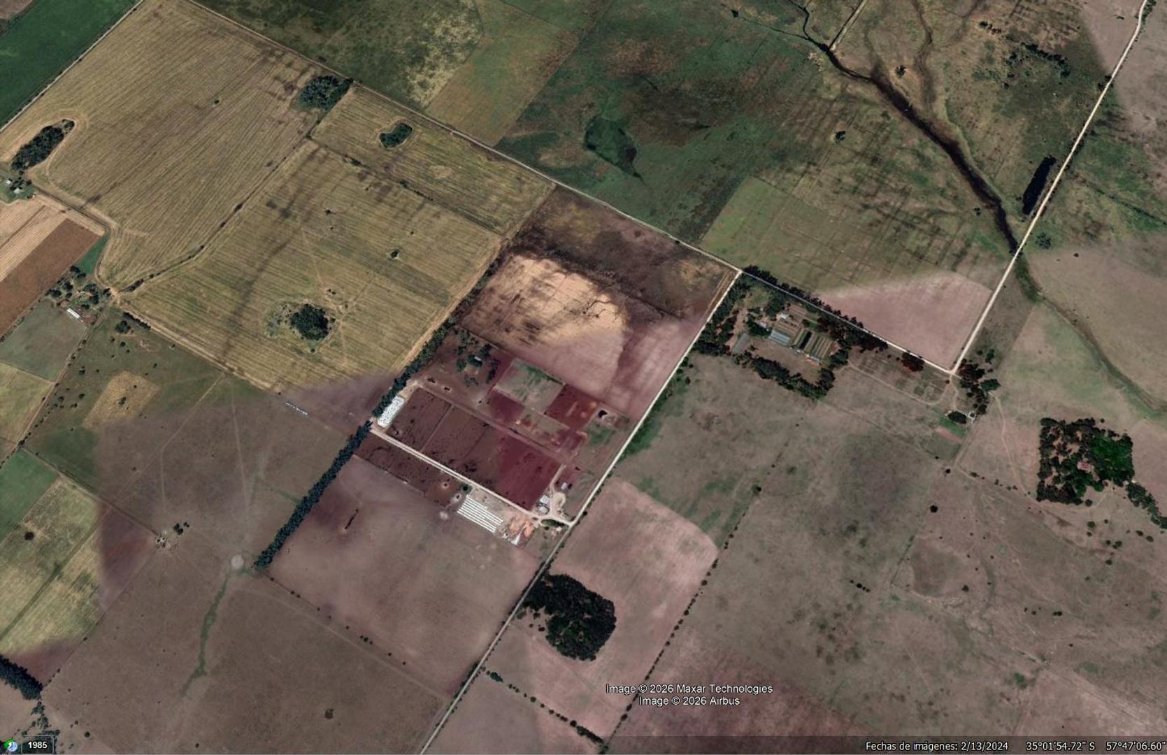 Campo - Hectareas en Bavio