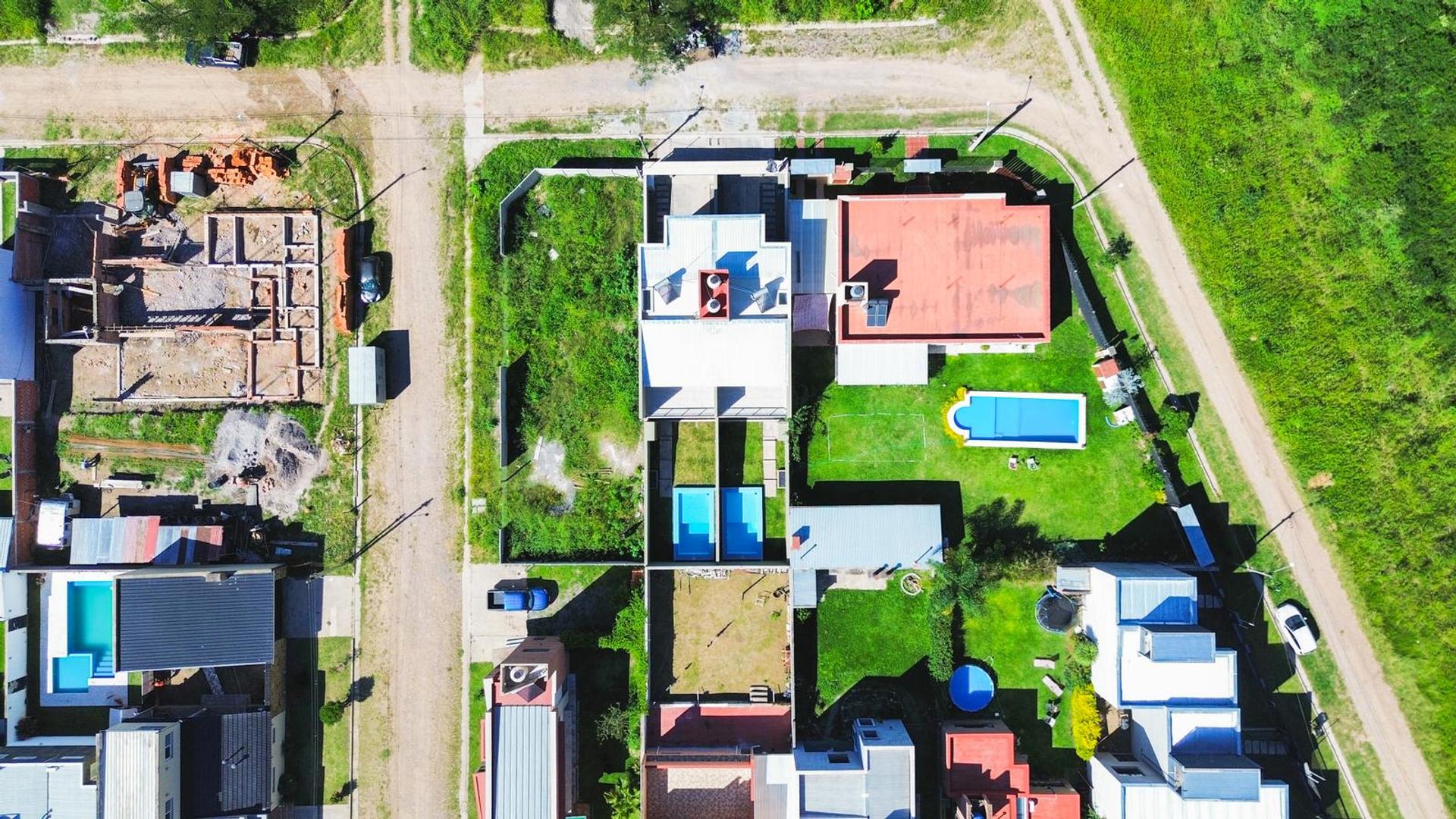 Altos del Zapla higuerilla