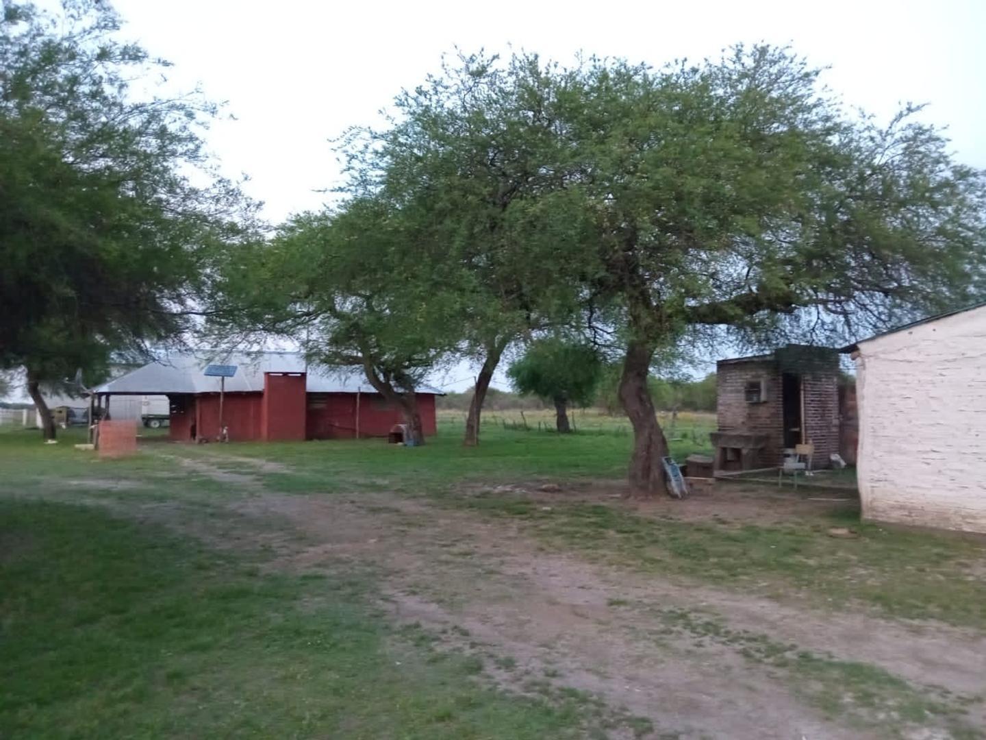 Campo 301 hectáreas Mixto Sauce Corrientes