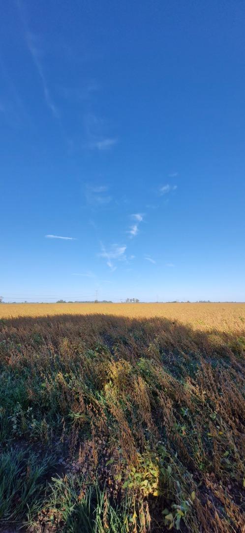 Ruta Procincial 10S 1