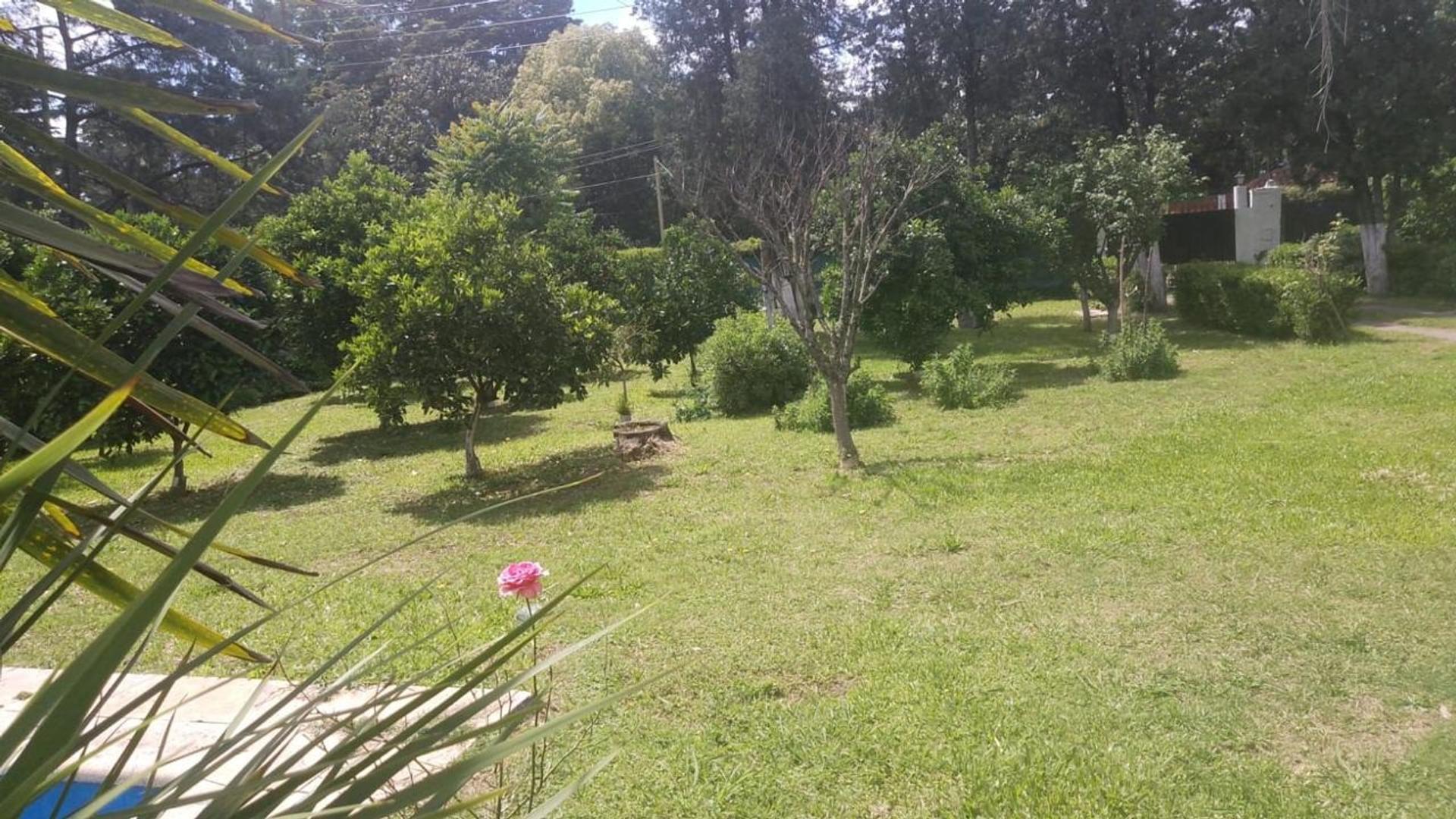 Casa en Venta con 4 cocheras