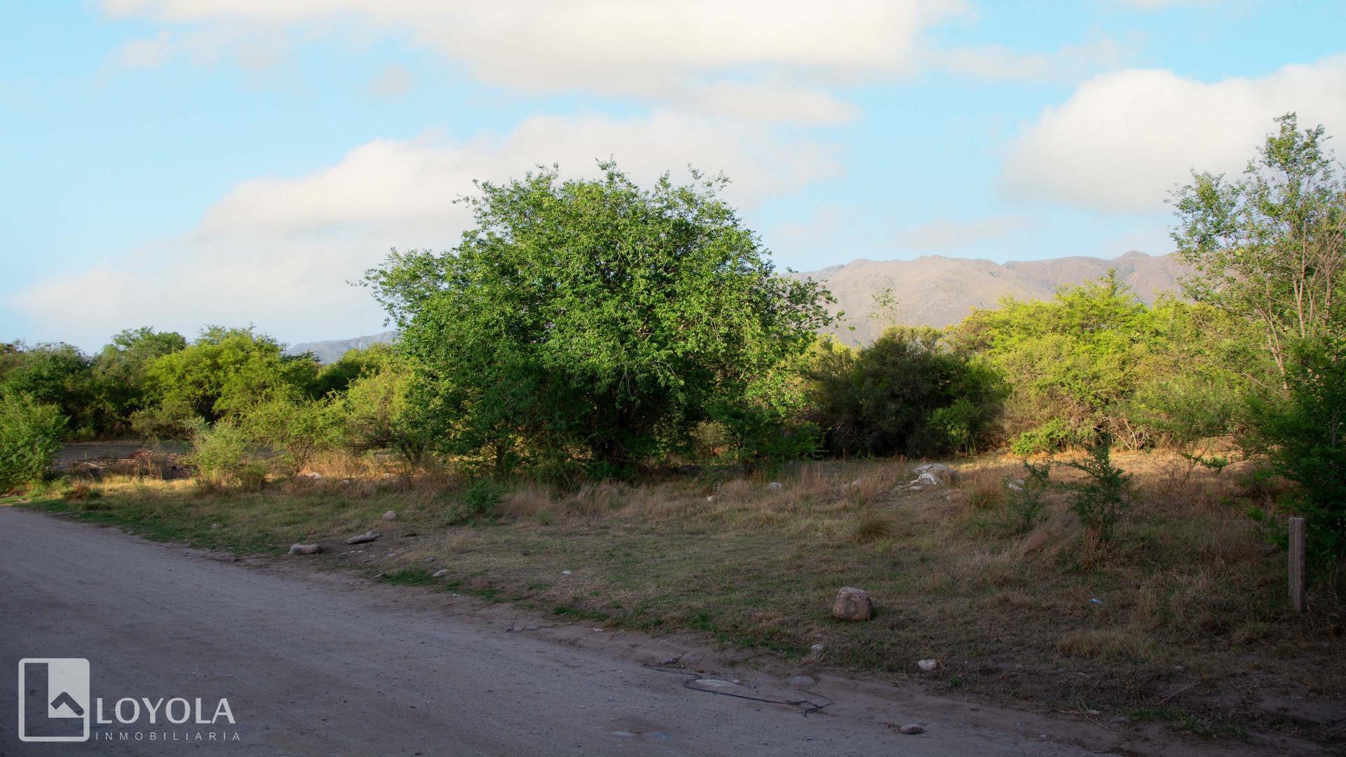 Terreno en Venta de 872,0 m2