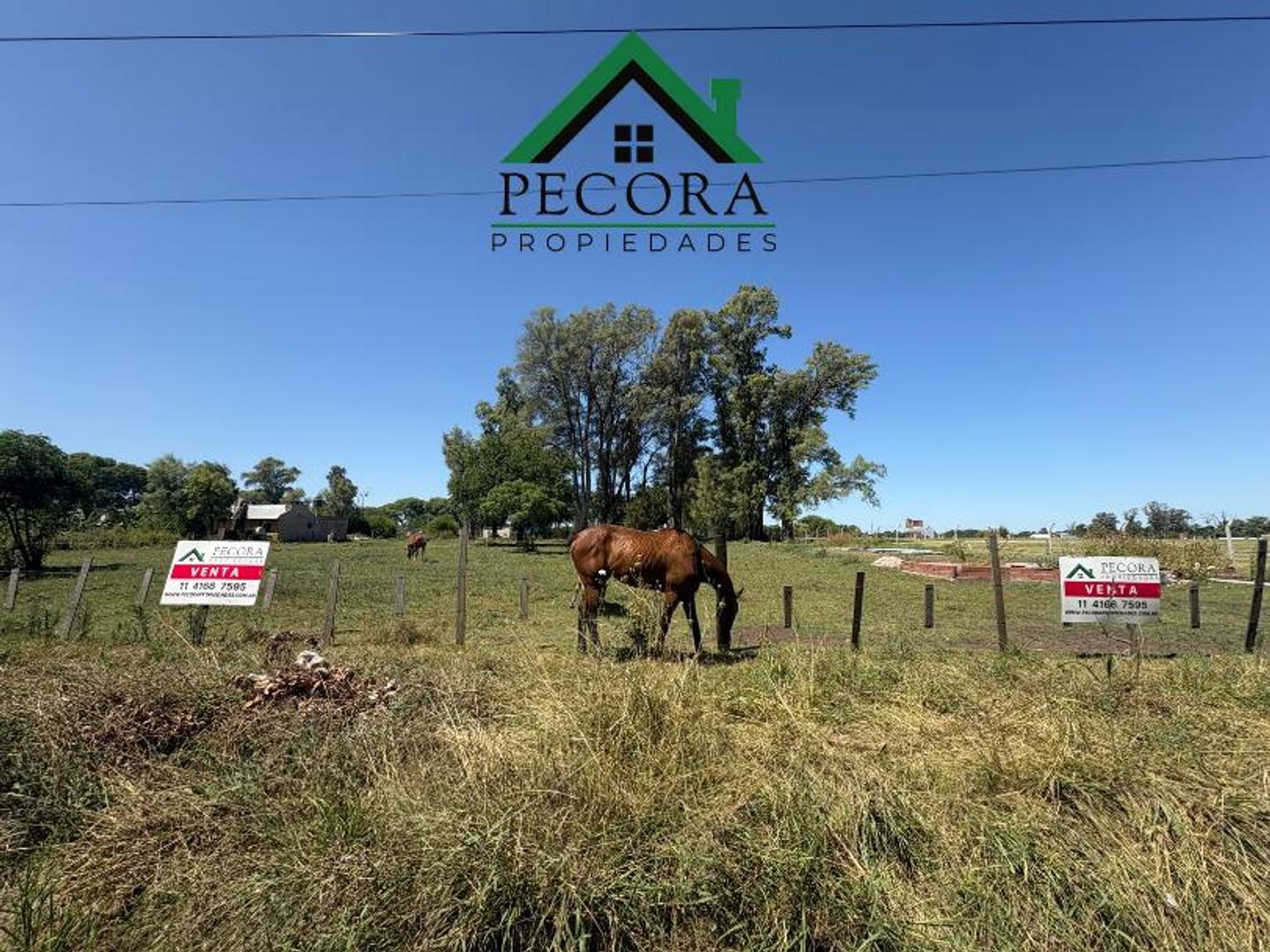 Terreno en Venta 36  mts Fondo