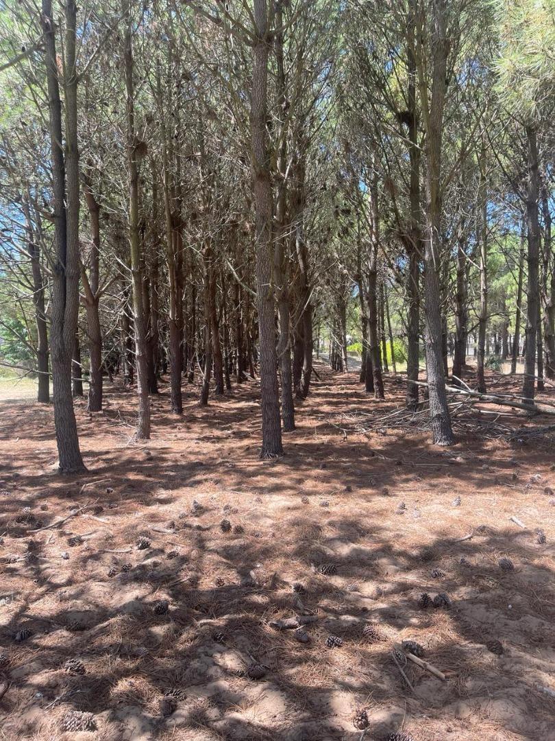 Terreno en Venta, FOS 0,25