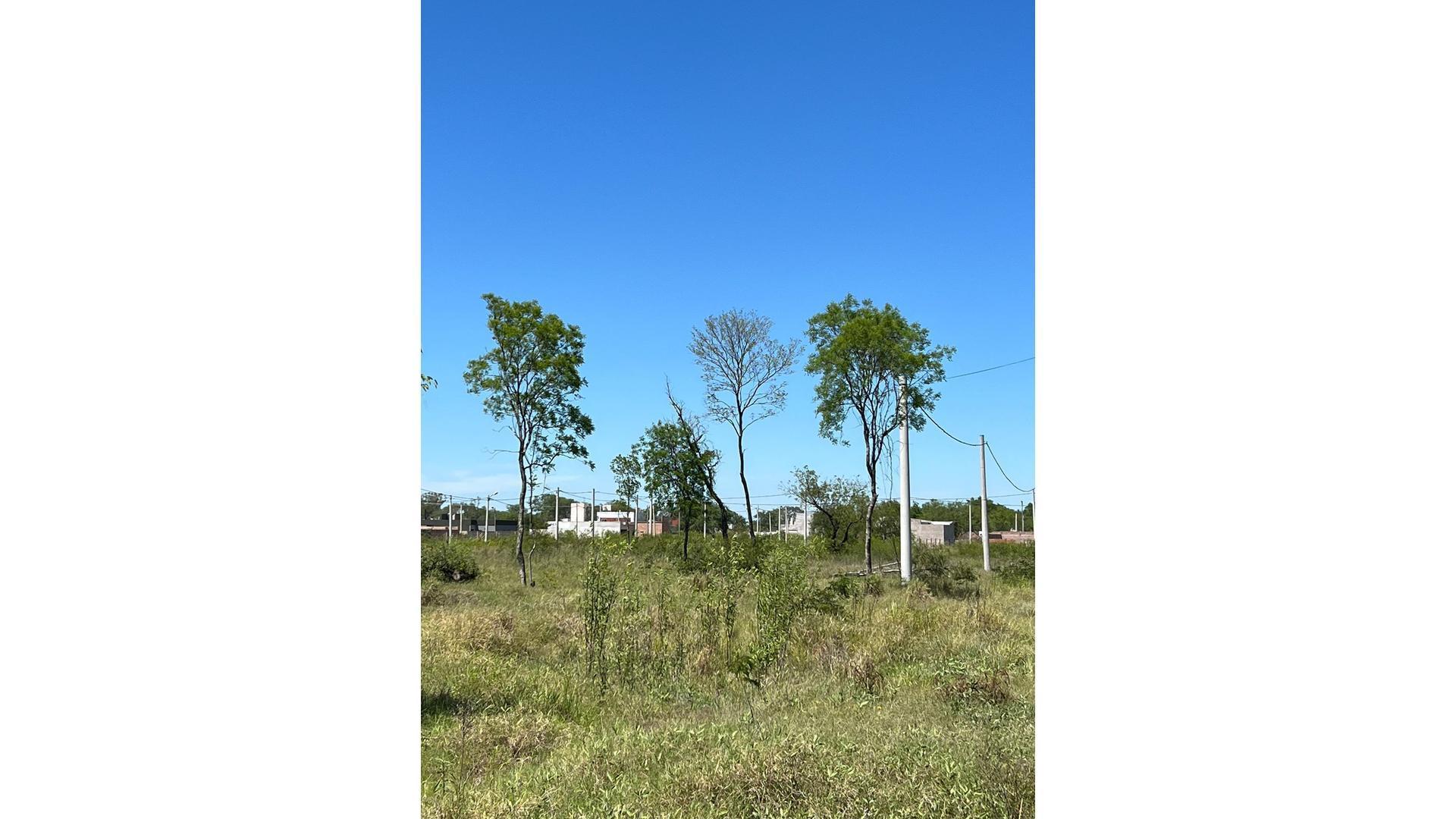 Antonio Alvarez Lottero 1715