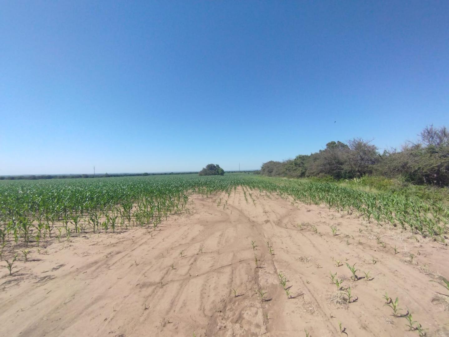 Auto Via Calamuchita