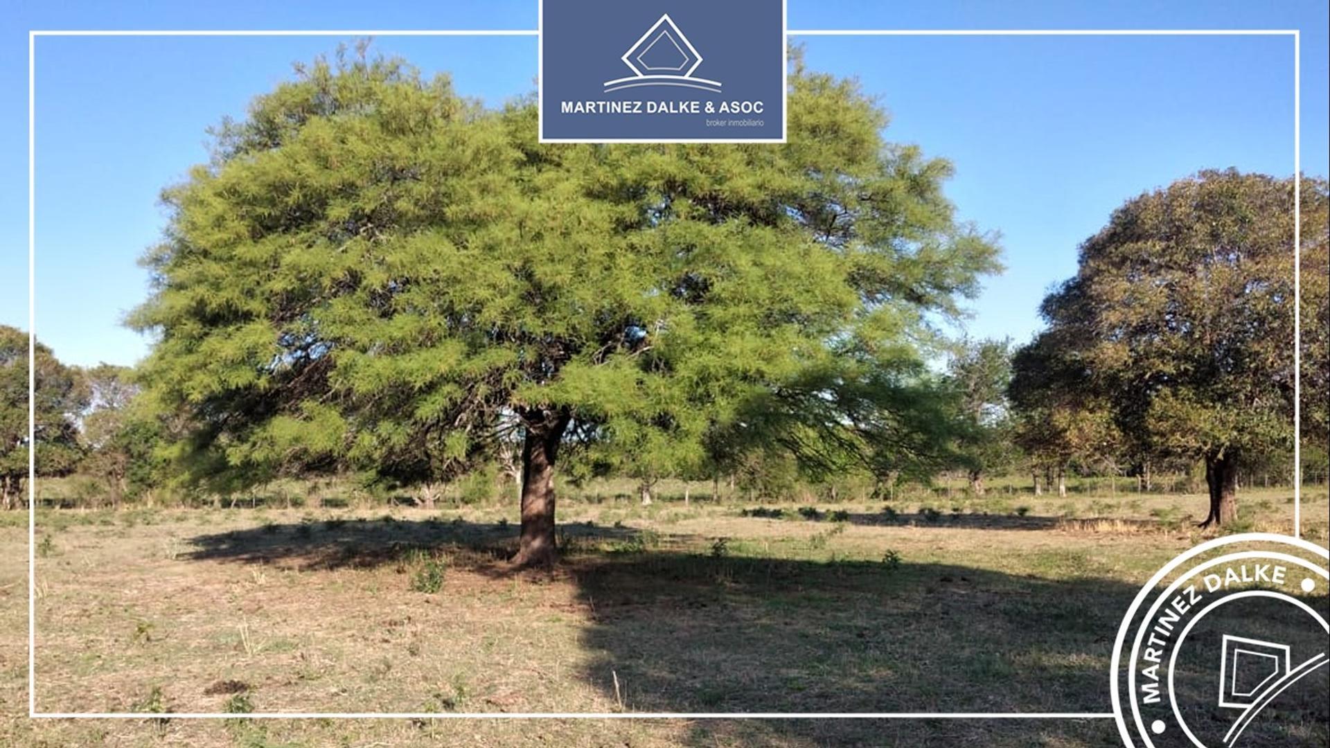 Agua de las Piedras - Campo de 6 Has con costa de Rio