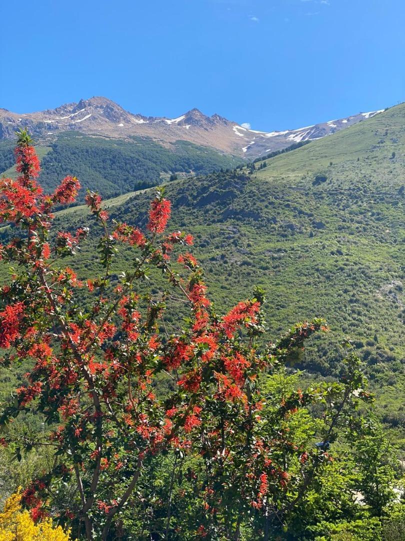 Departamento en Alquiler Temporal en Villa Cerro Catedral, USD 100