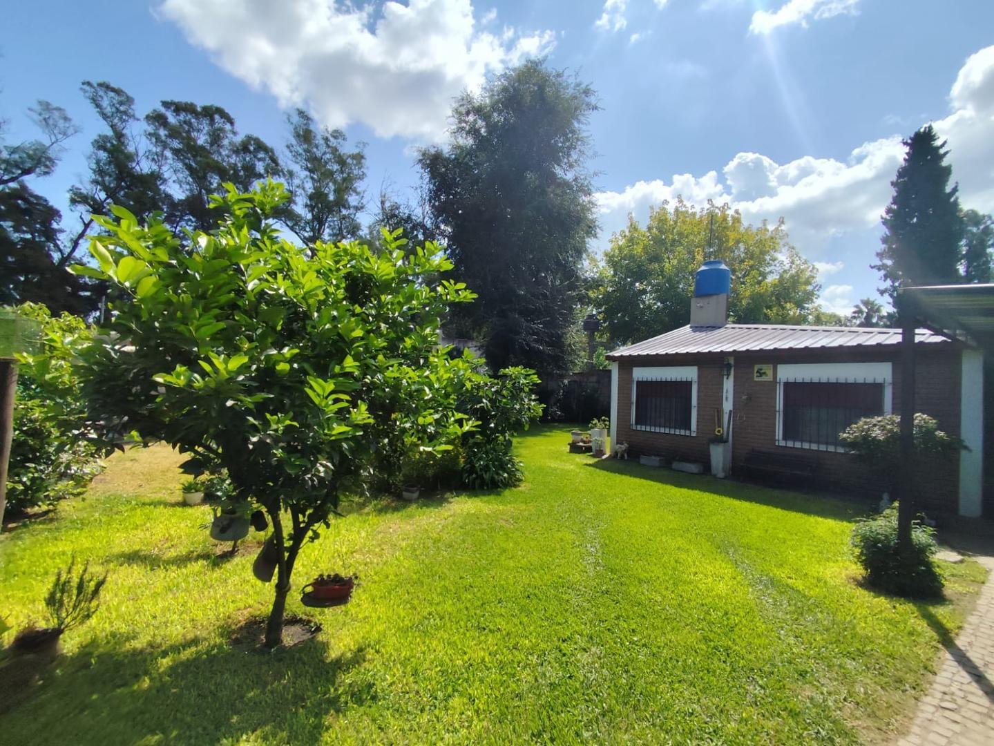 Ignacio de Zuloaga 655