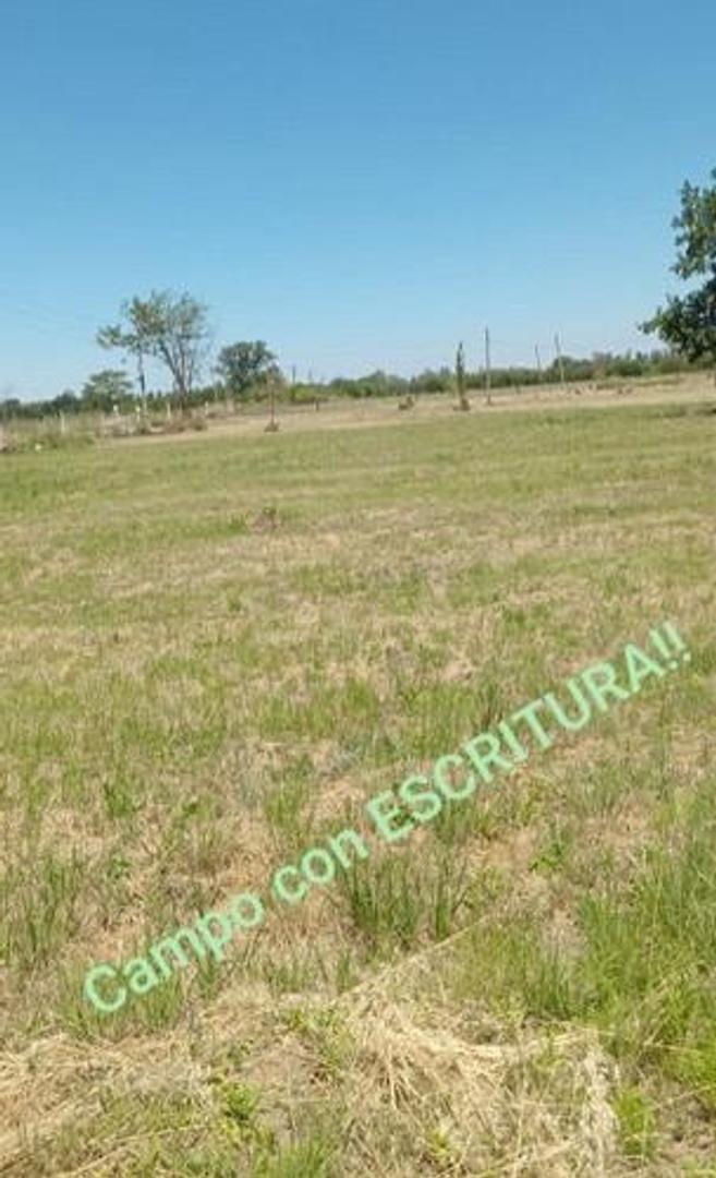 IMPONENTE CAMPO DE SEIS HECTAREAS