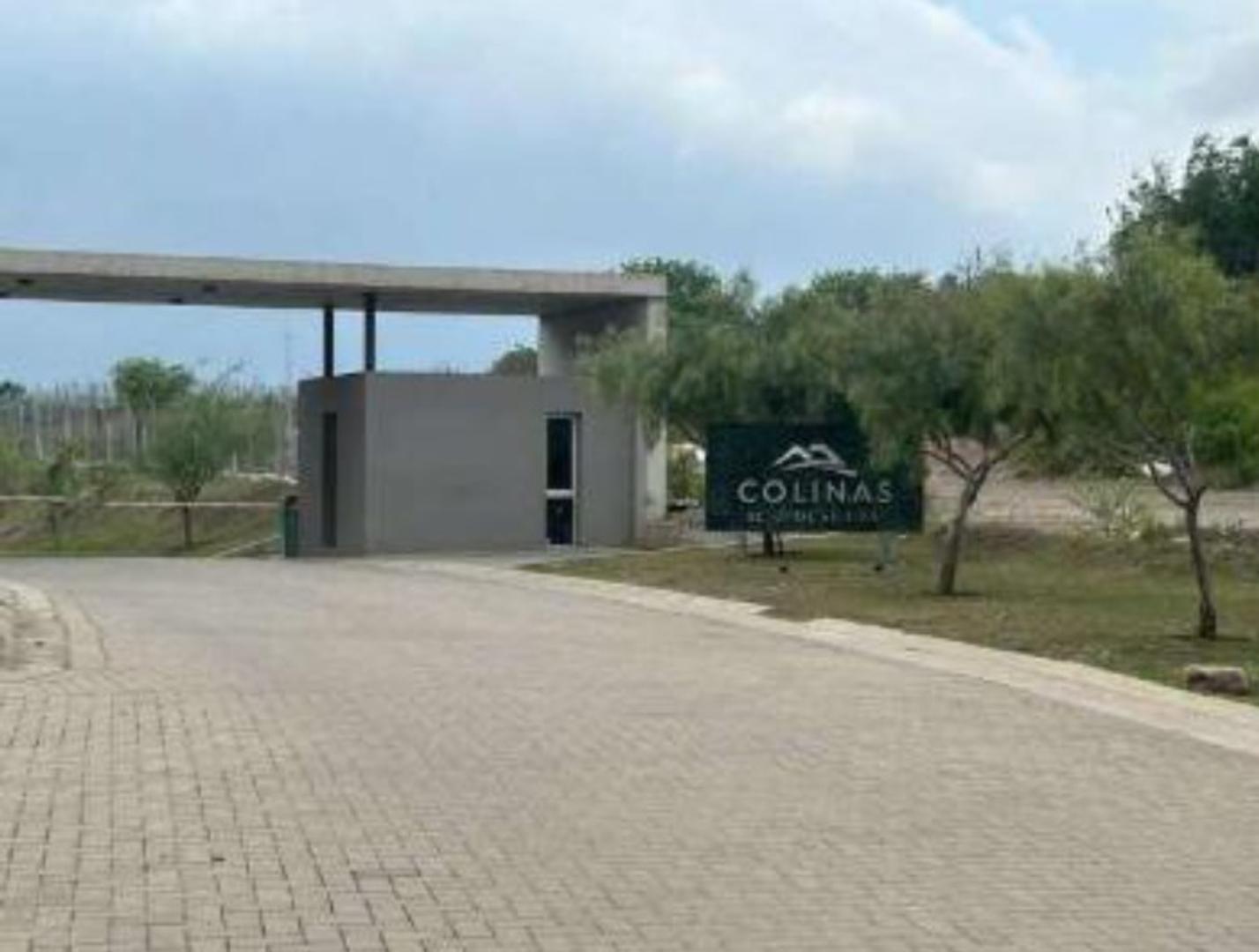 Colinas De La Deseada 100