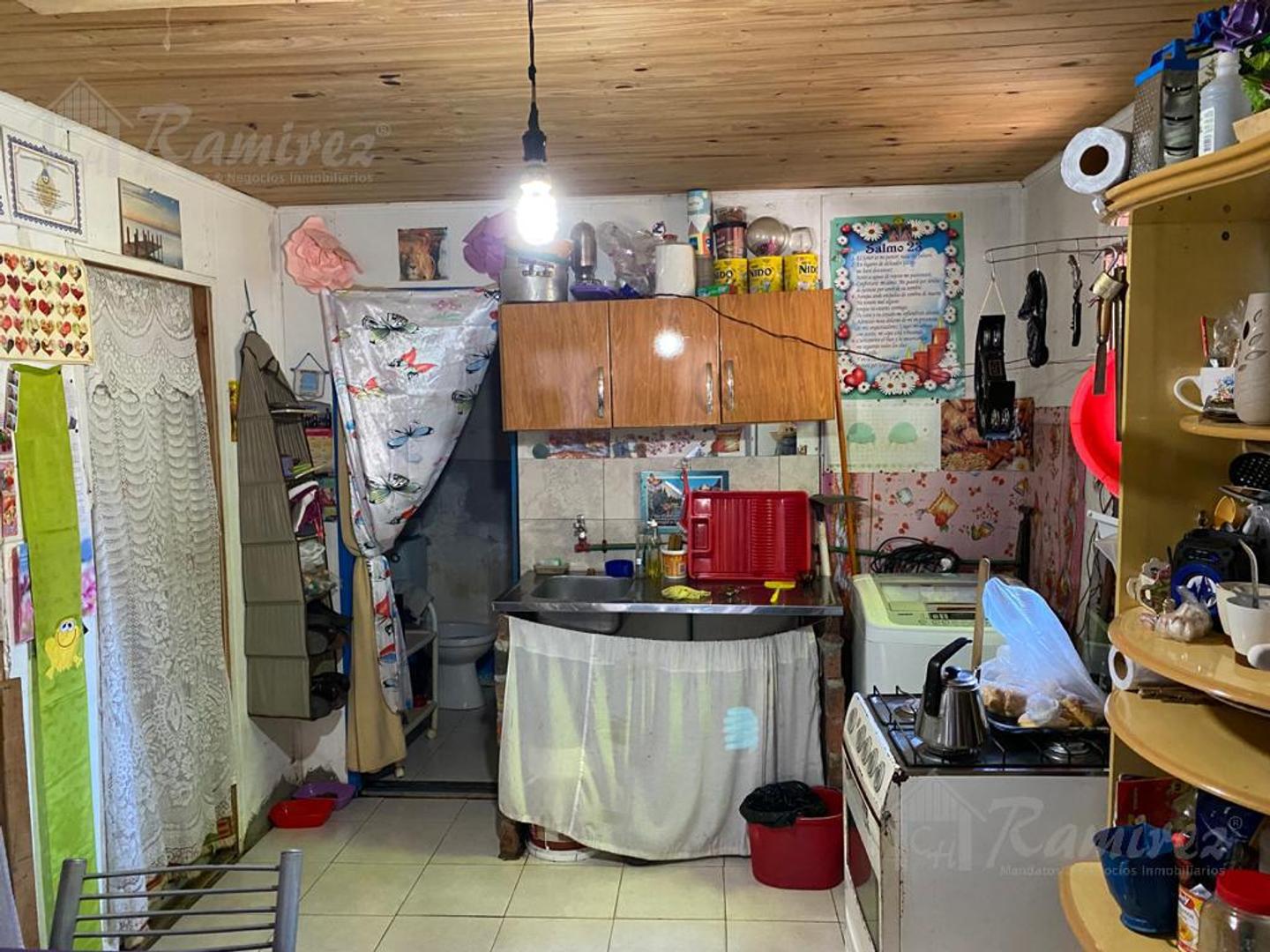 Carlos de linneo al 1300