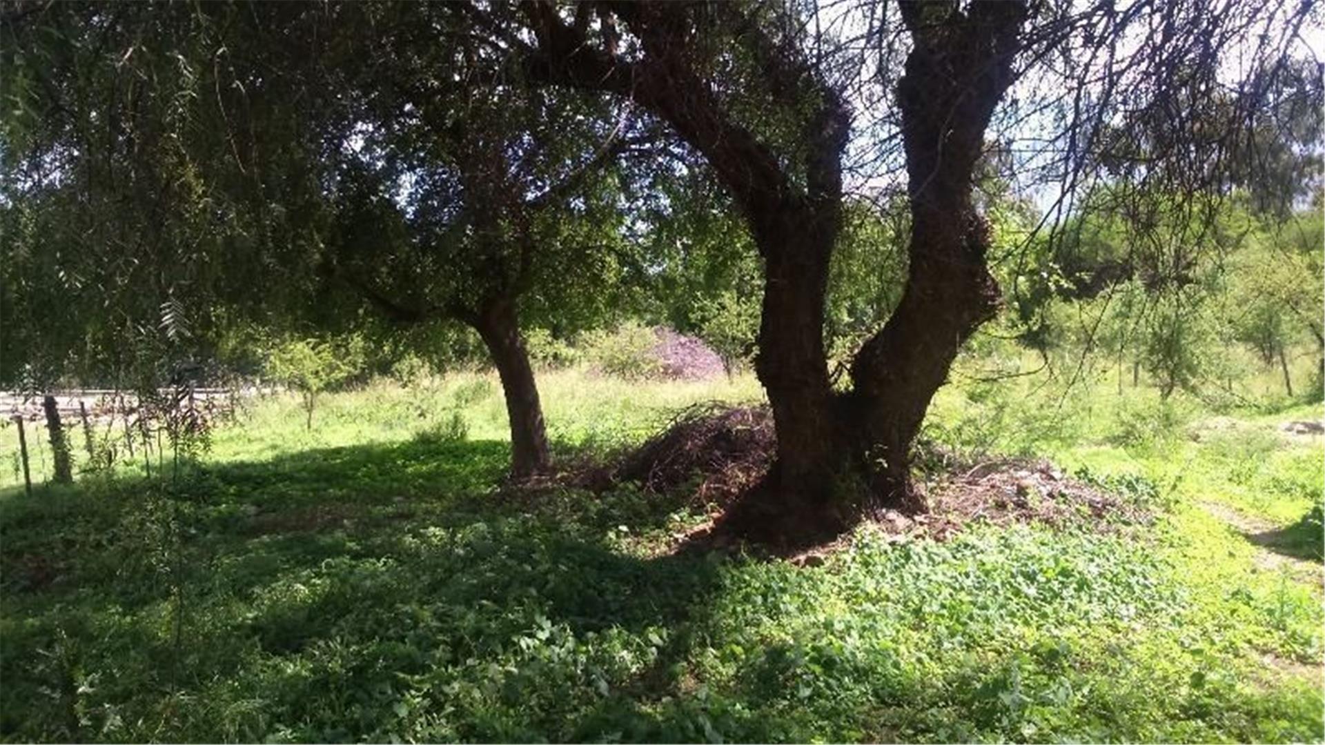 Terreno en Venta en Centro, USD 64.900