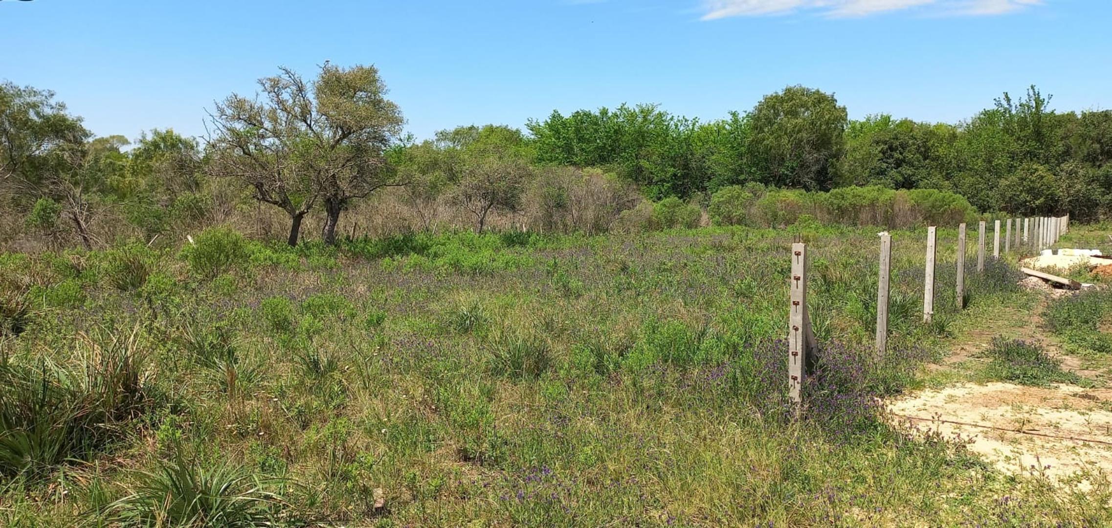 LOTES EN VENTA! DE 720 mts2!