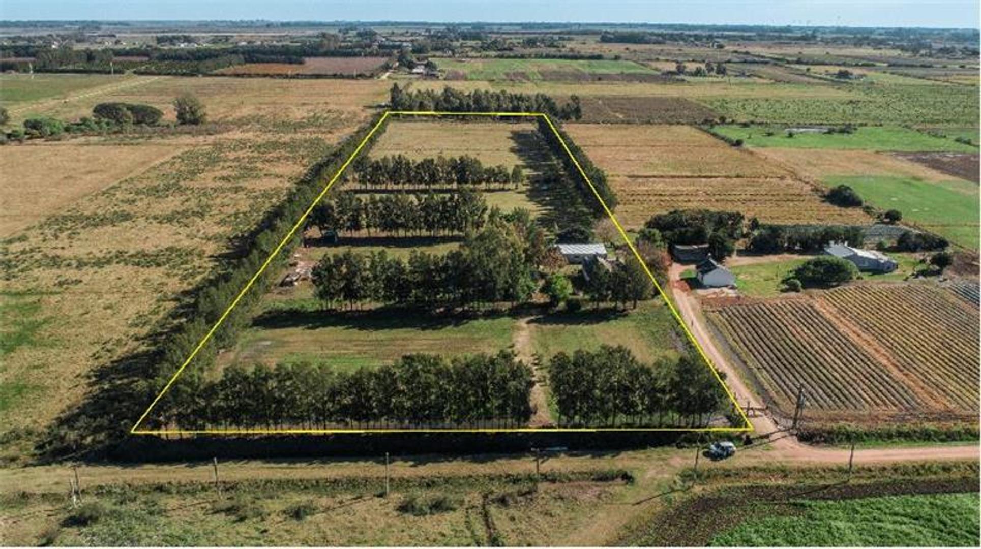 3.5 Ha, Colonia Wilson - Descanso  y Esparcimiento