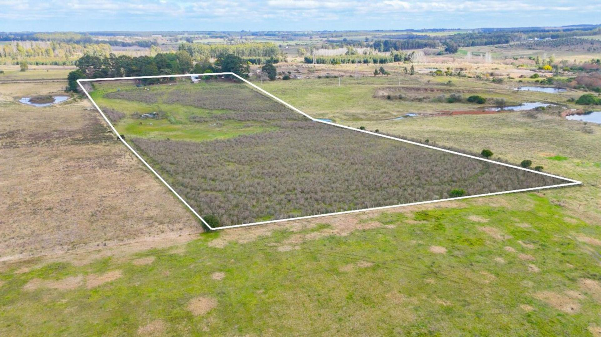 Vendo Financio chacra campo casa Ruta 8 y Ruta 11