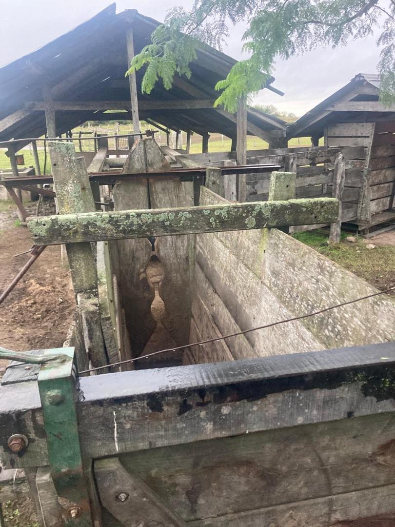 Campo Paraje Malvinas (Corrientes) - 949 has.