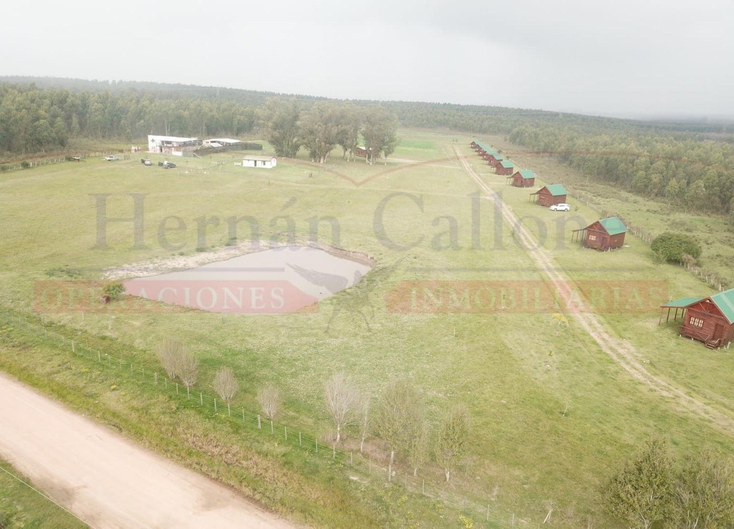 Batalla Del Cerrito 5500