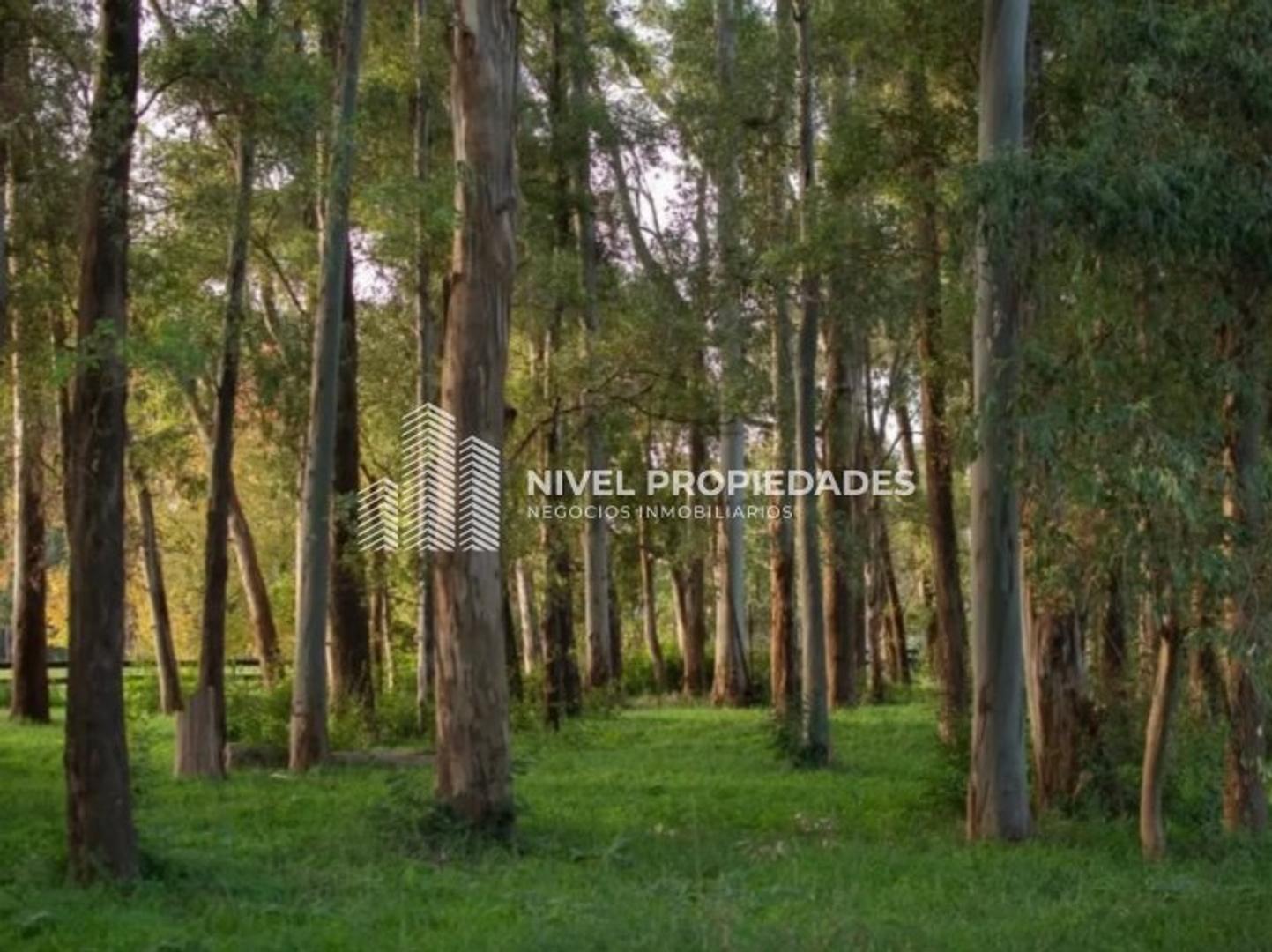 Terreno en Venta de 1500,0 m2