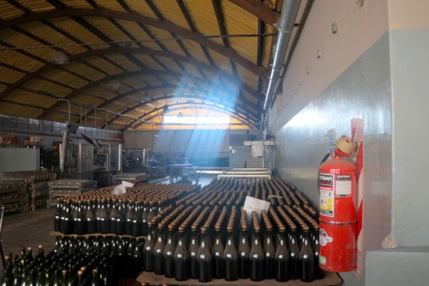 BODEGA DE VINOS EN VENTAON GALPONES INCLUIDOS