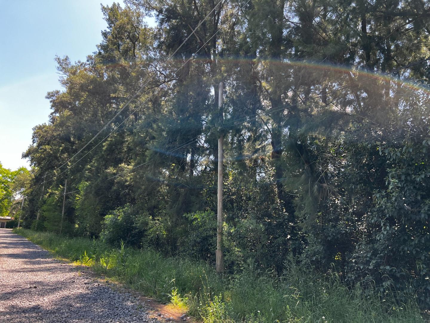 Terreno en Venta en Alto Los Cardales, USD 180.000