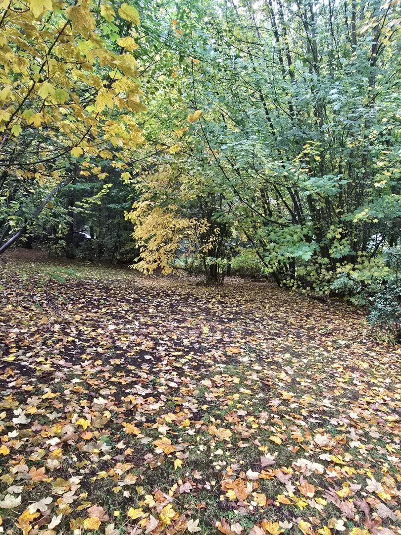 Terreno en Venta de 1974,0 m2