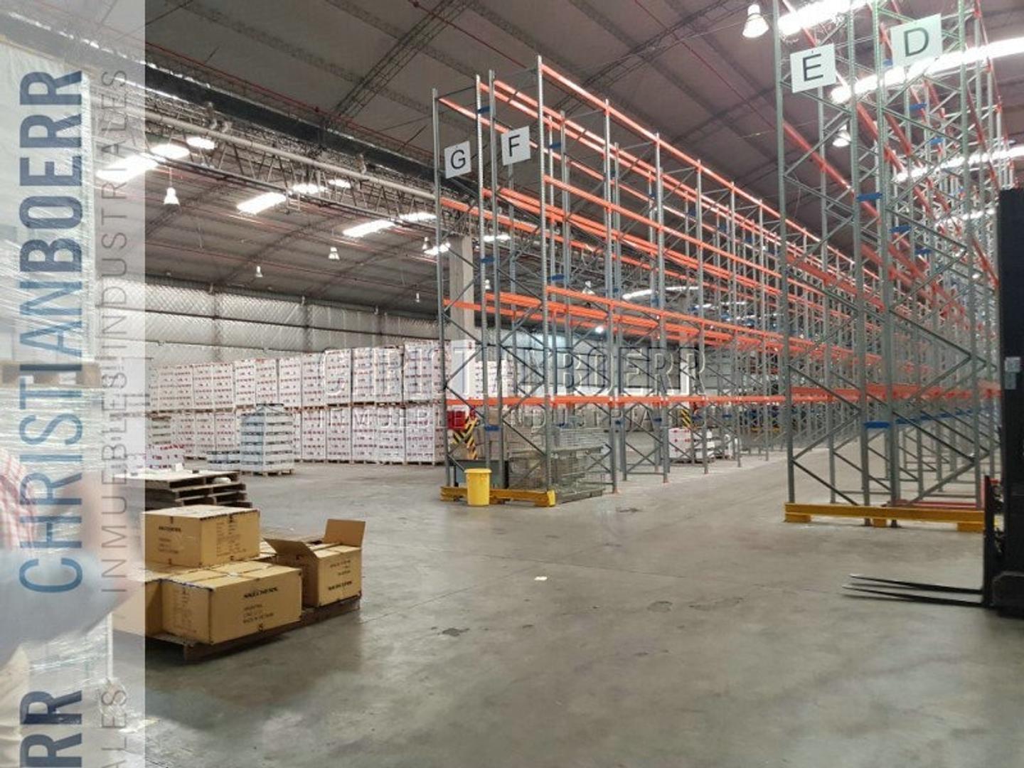 5300M EN EL PARQUE IND PILAR - PLANTA - DEPOSITO CON DOCKS D