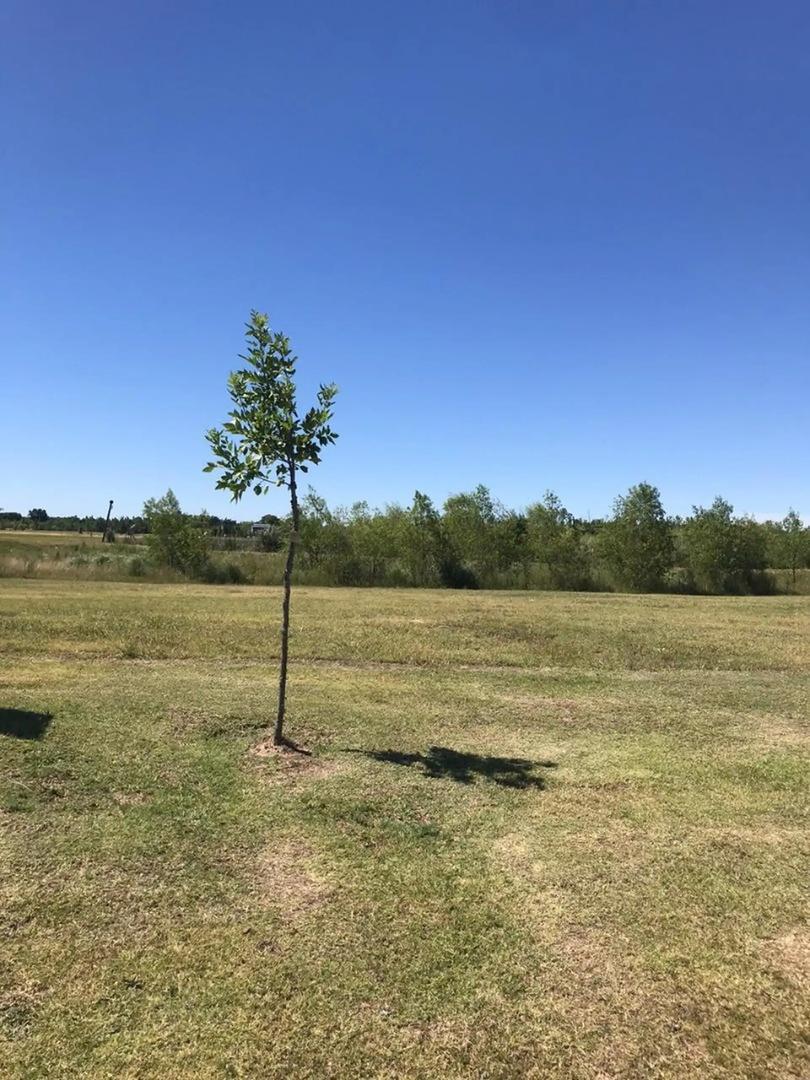 Terreno en Venta de 782,0 m2