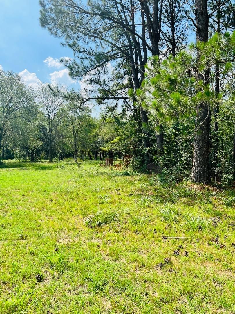 Rio Sauce Grande, Barrio Amarylis.