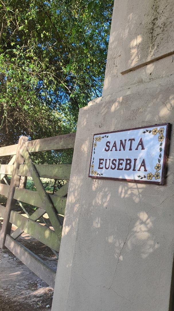 Interna Lindera A La Ruta 39 9000