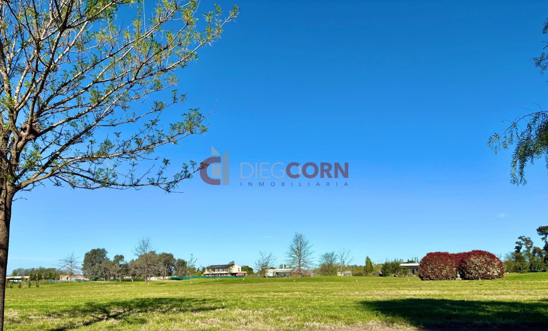 Av. Fernández Beschtedt