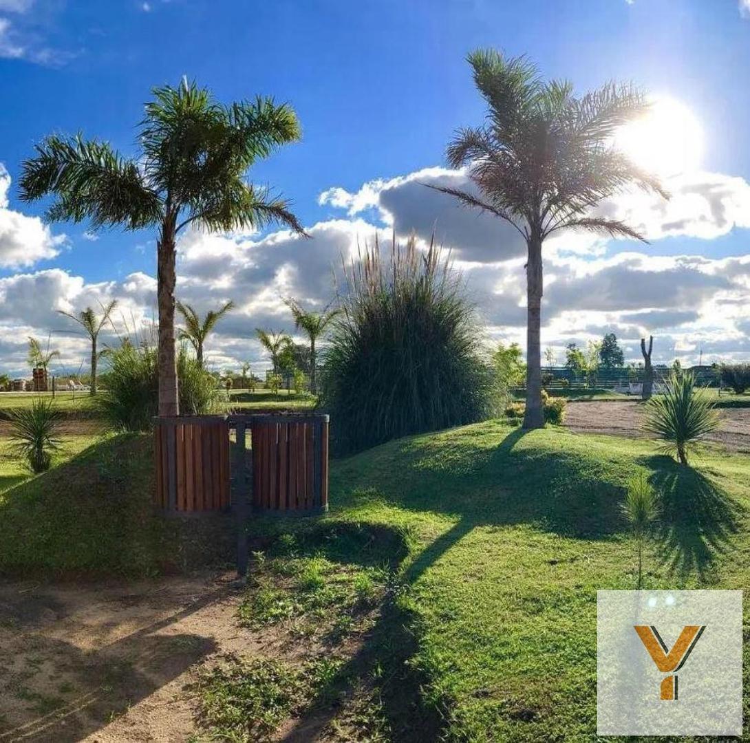 Terreno en Venta 20  mts Frente