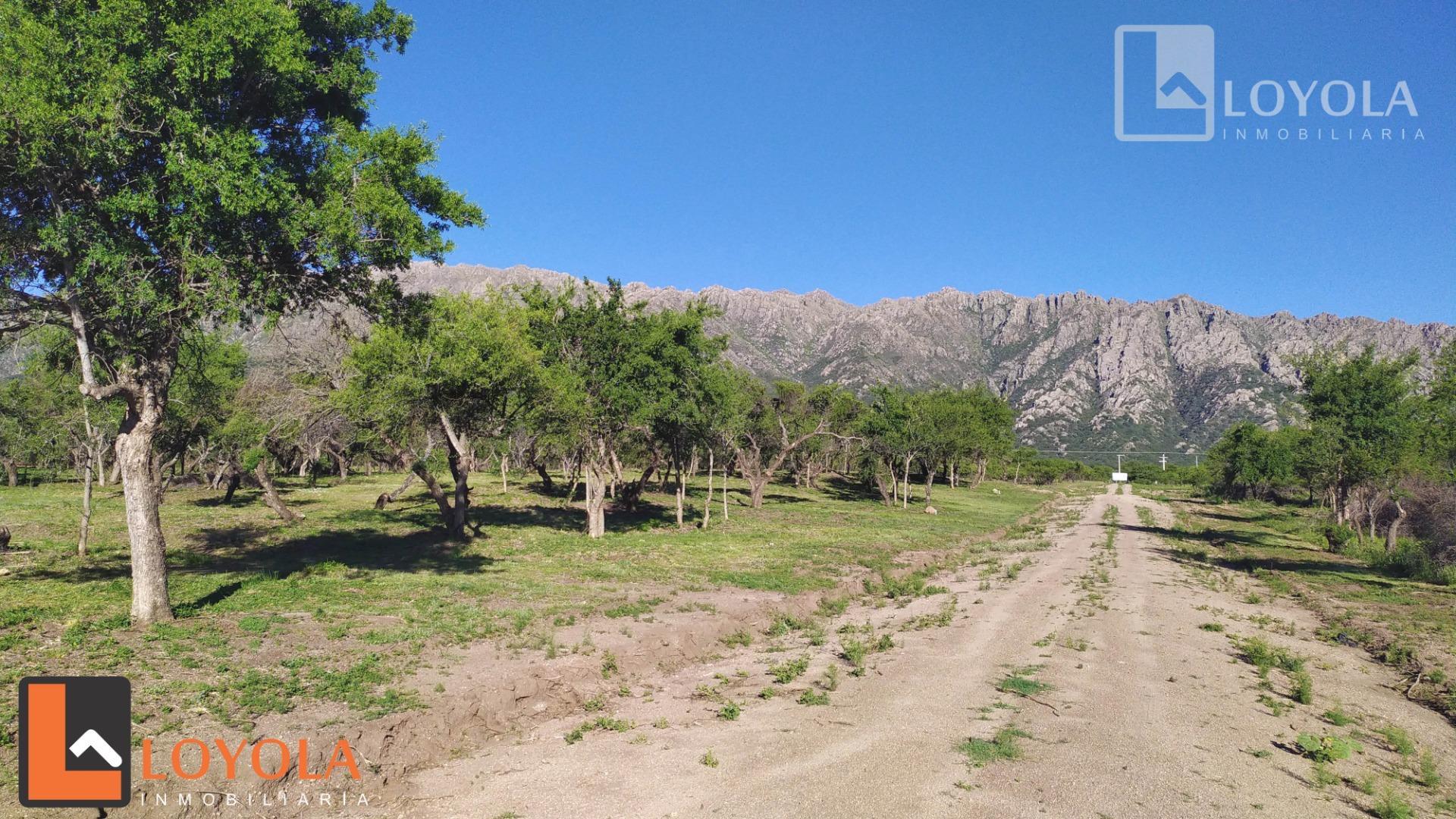 Lotes de 880 metros Cortaderas San Luis