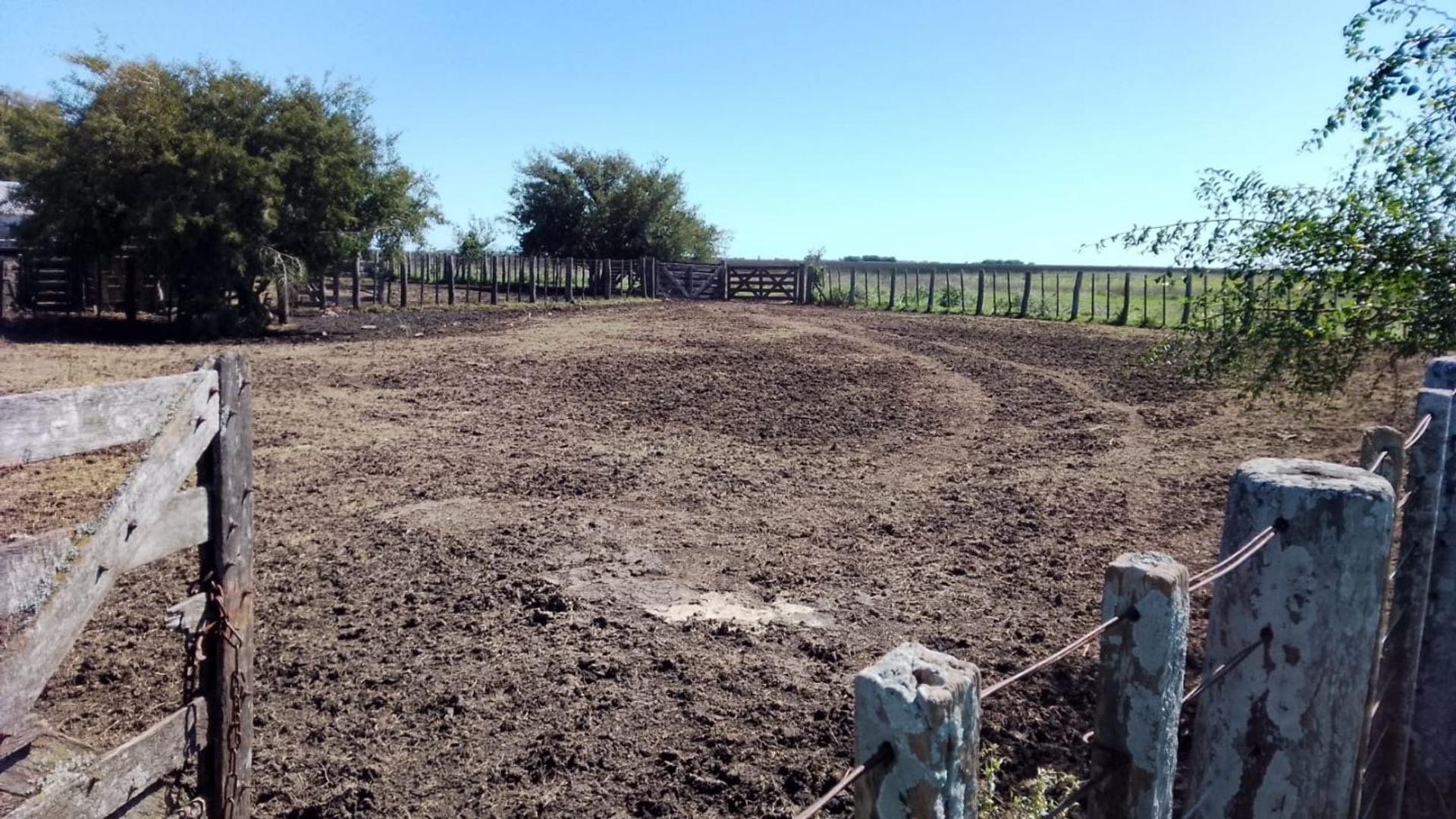 VENTA - CAMPO GANADERO 1.450 HECTÁREAS