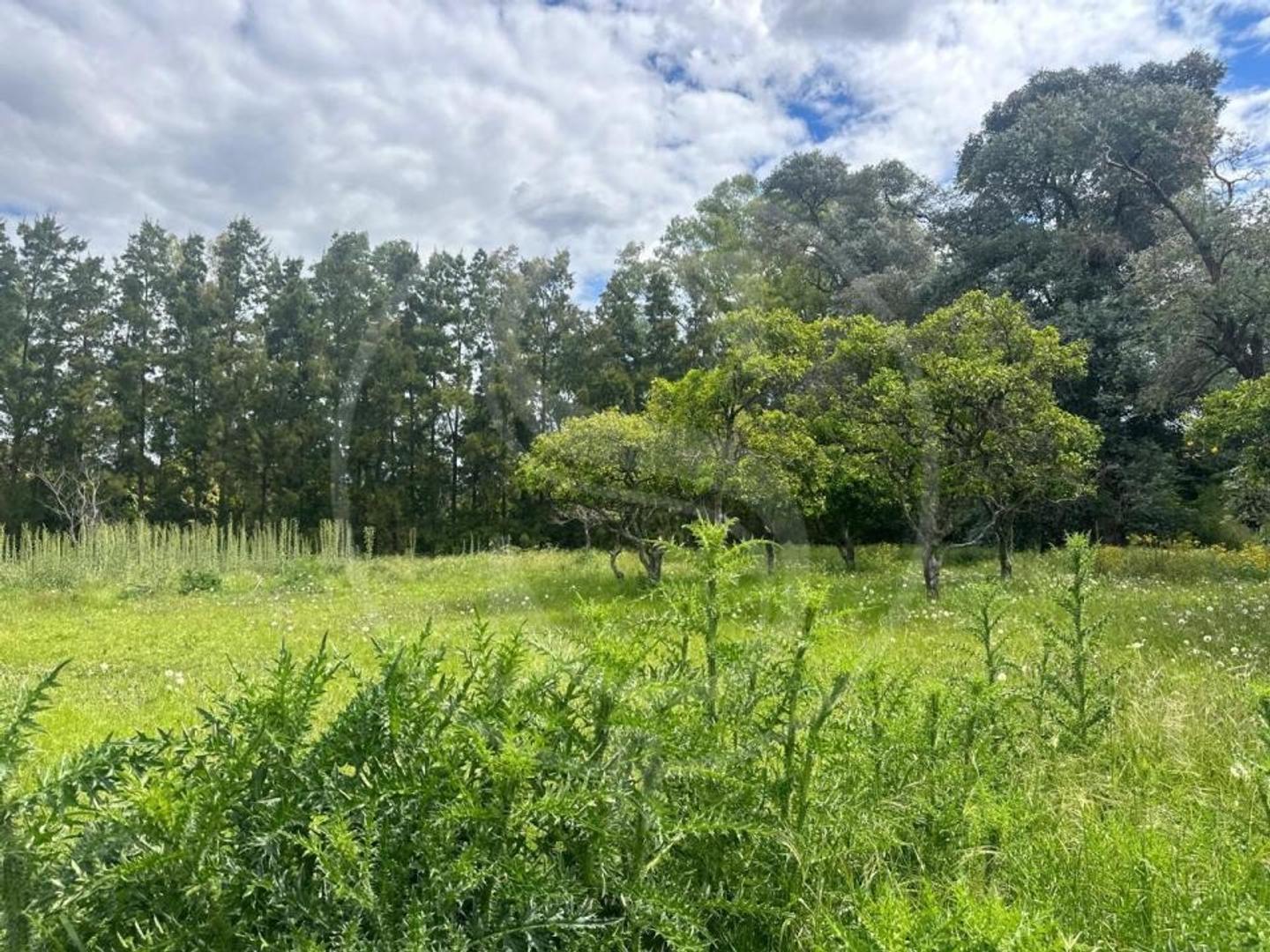 Terreno en Venta en Solis, USD 39.000