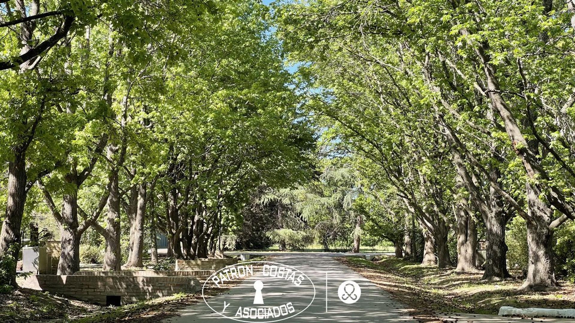 Lote en venta en La Cañada Polo Club