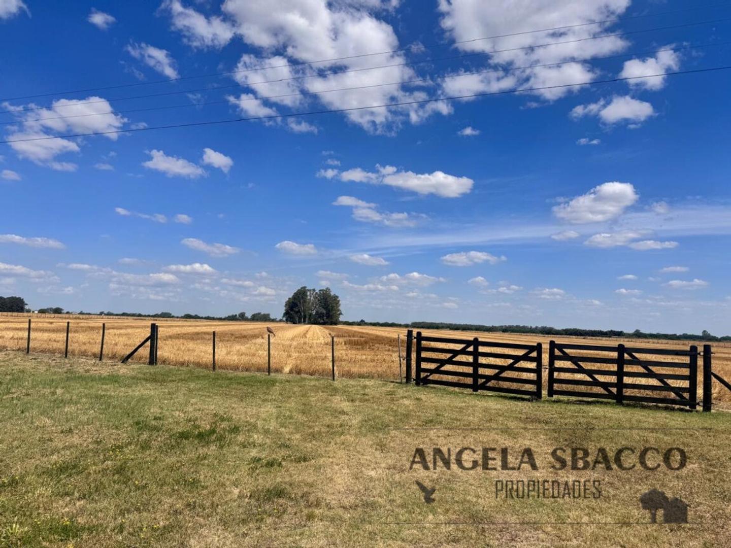 Ruta 193, Capilla Del Señor.