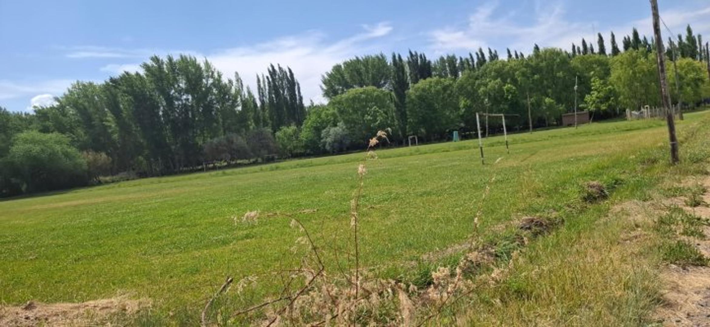 VENDO CHACRA CERVANTES